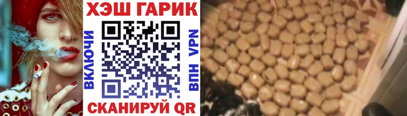 Гашиш Изолятор  где купить наркоту  Курчалой 