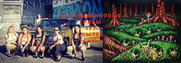 первитин Белоозёрский