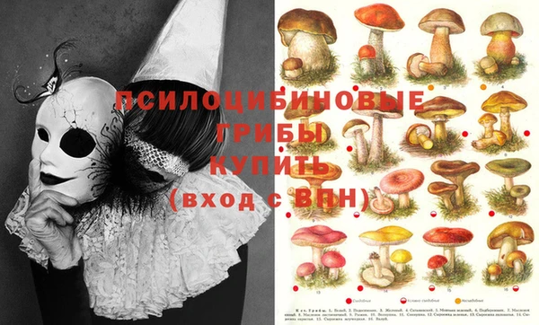 mdma Балахна