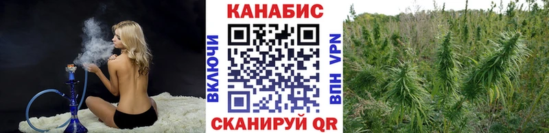 продажа наркотиков  Курчалой  МАРИХУАНА тримм 
